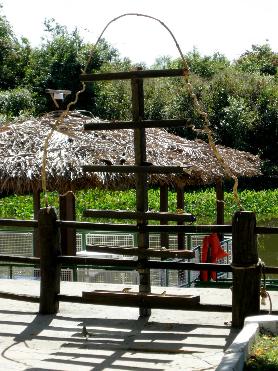 parakeet feeder at the Pantanal Mato Grosso Hotel (3)