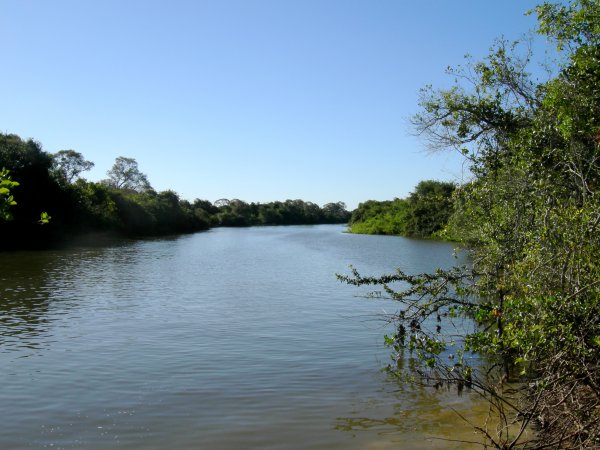 at the edge of the Pixaim river