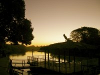 Jaibiru on the thatched dock at sunset (2)