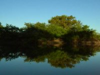 the water was very clear, almost perfect reflection