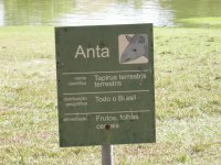 Anta (Tapirus terrestris terrestris) sign