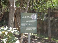 Lobinho (Cerdocyon thous) sign