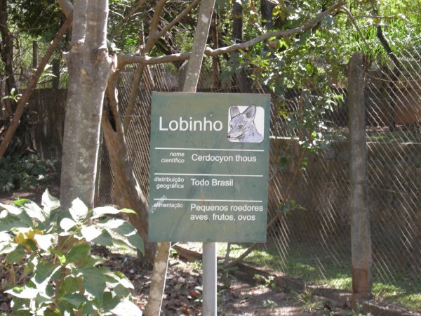 Lobinho (Cerdocyon thous) sign