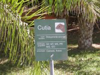 Cutia (Desyprocta azarae) sign