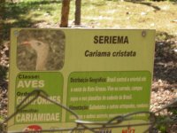 Seriema (Cariama cristata) sign