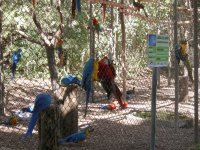 more parrots and macaws