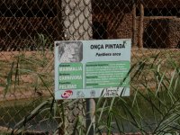 Onça Pintada (Panthera onca) sign