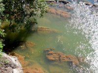 Cuiabazinho river, looking for fish