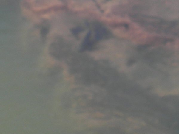 fish in the Cuiabazinho river