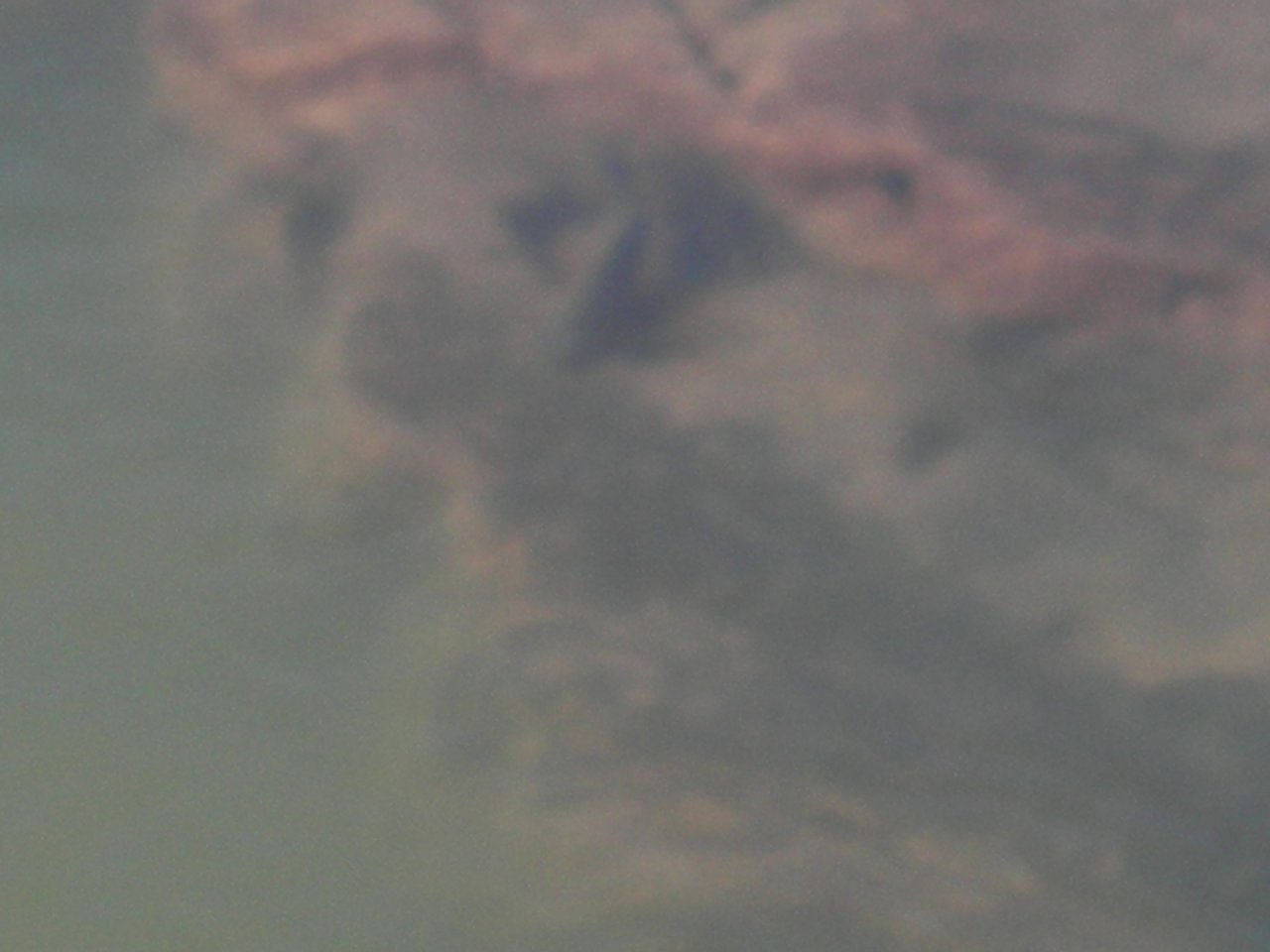 fish in the Cuiabazinho river