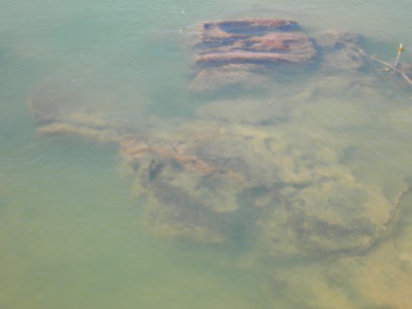 fish in the Cuiabazinho river (2)
