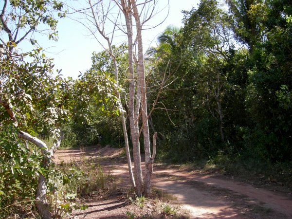 the trail to the snorkeling area