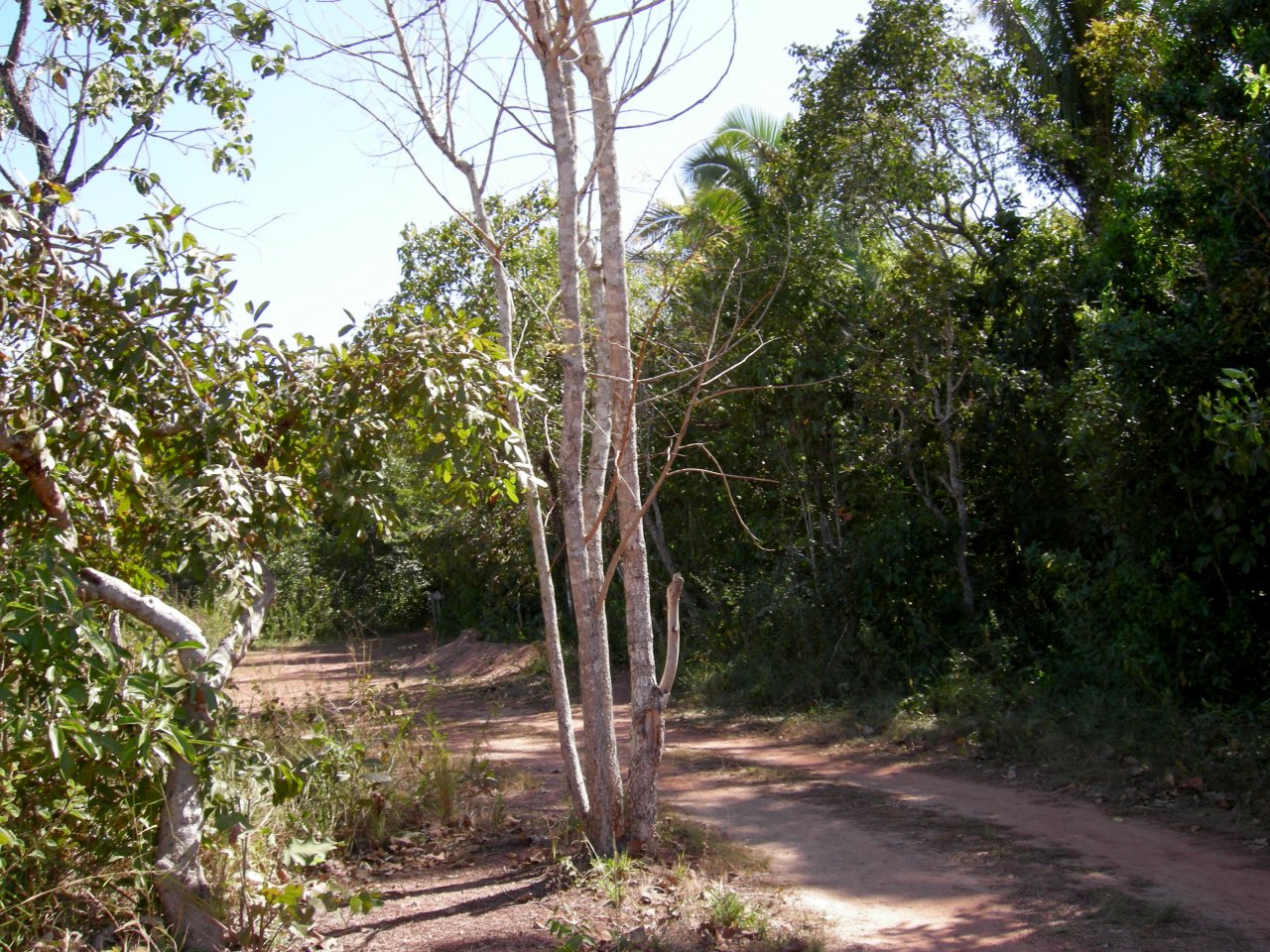 the trail to the snorkeling area