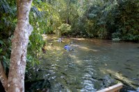 snorkeling down the river