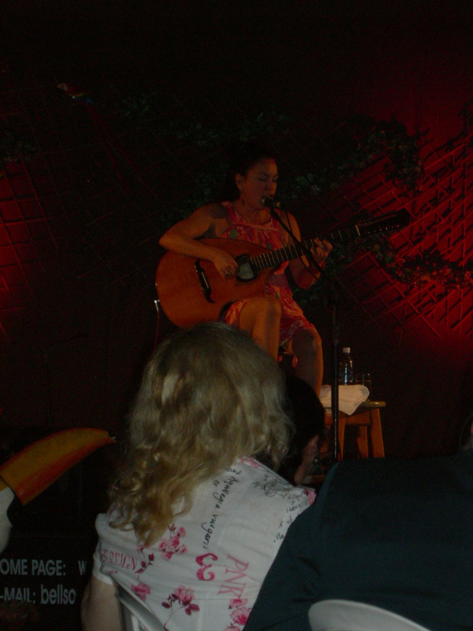 Tetê Espíndola, a famous Mato Grosso performer at the dinner (3)