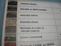 catalog/samples of the seeds used in jewelry-making (2)
