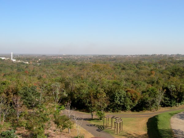 looking over the Parque Mãe Bonifácia from an observation tower