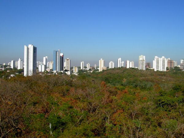 observation deck view (3)