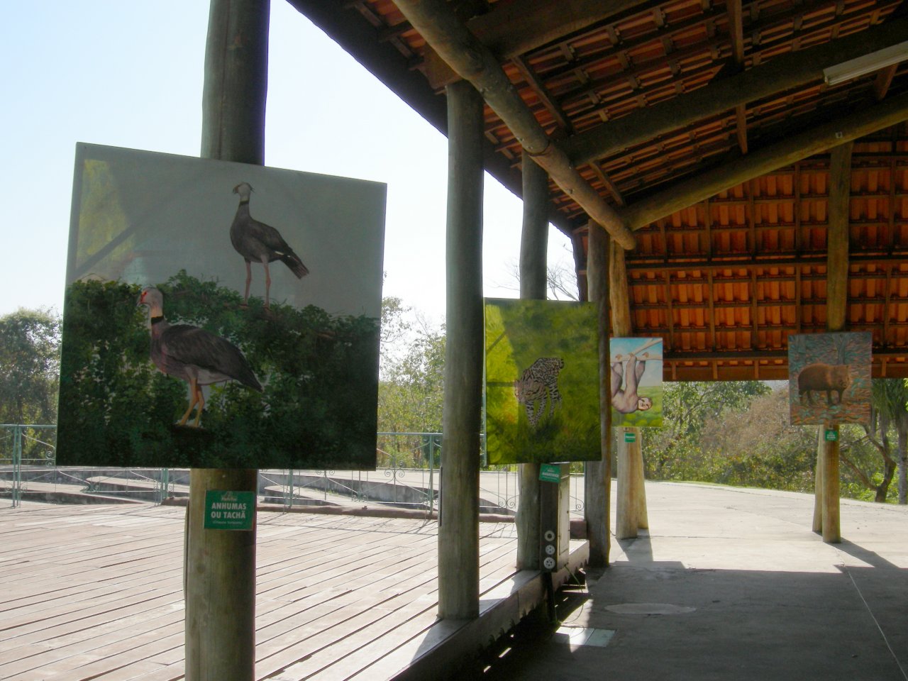 paintings of Brazilian animals at the nature center (2)