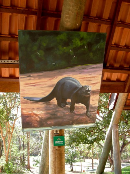 Giant Otter (Ariranha)