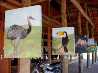 paintings of Brazilian animals at the nature center (3)