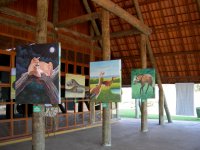paintings of Brazilian animals at the nature center (4)