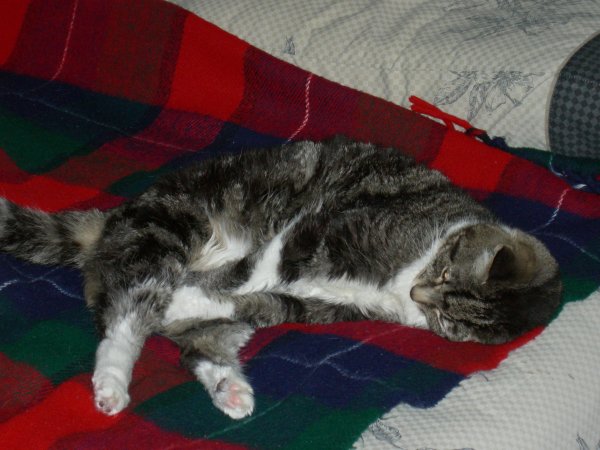 Squeak with her legs tucked in