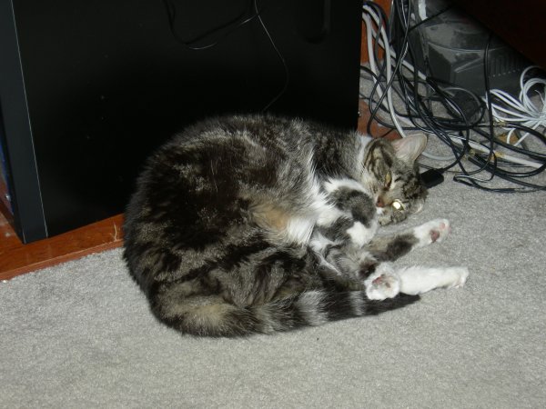 DSCN6411.JPG