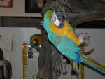 DSCN4357.JPG
