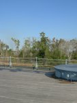 DSCN0005.JPG