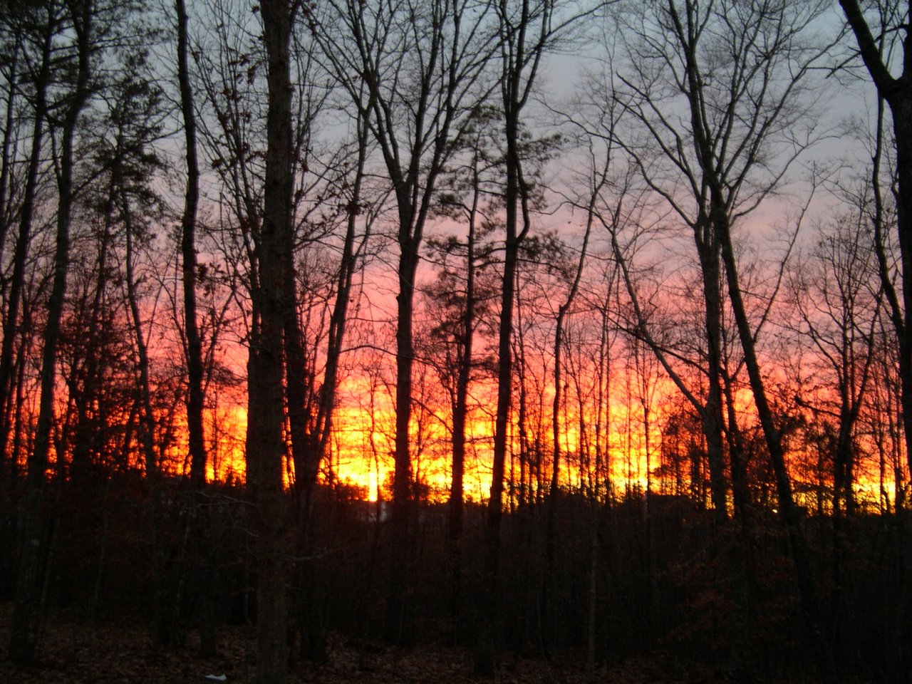 DSCN4961.JPG