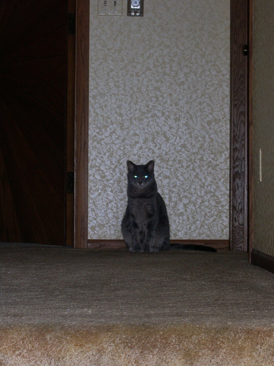 023. Darby in the Hall