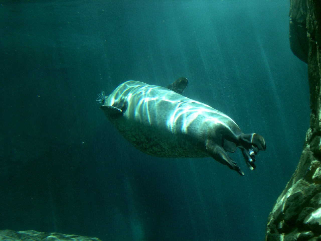 DSCN0542.JPG