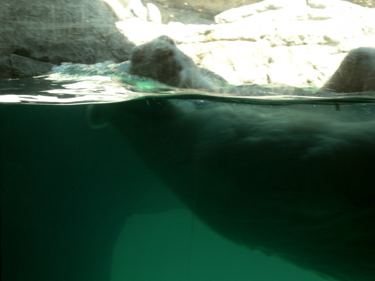 DSCN0548.JPG