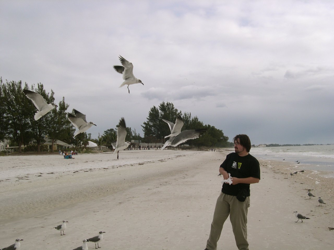 ben feeding the birds (2)