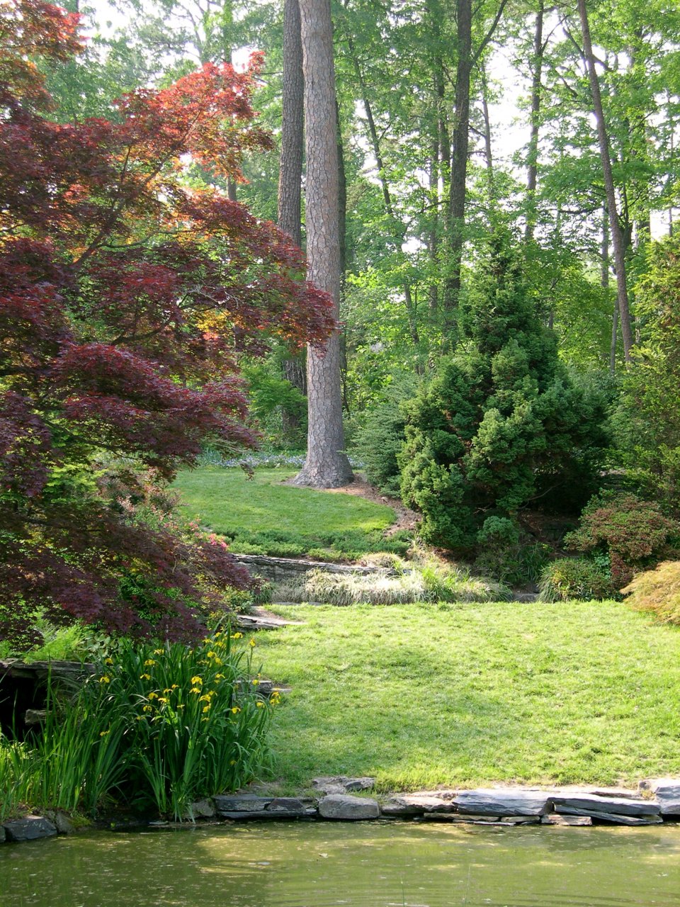 Duke Gardens 3
