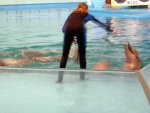 DSCN0561.JPG