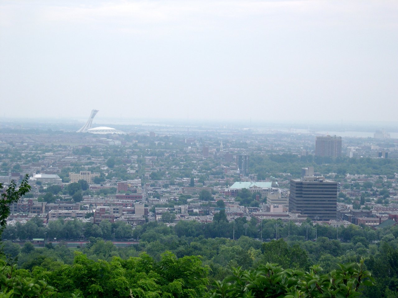 A view of Montreal from the hill.