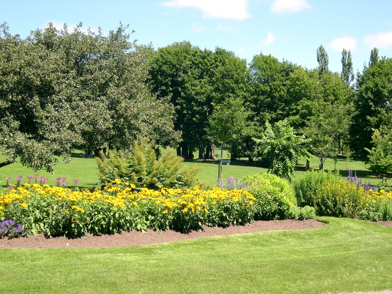 DSCN1070.JPG
