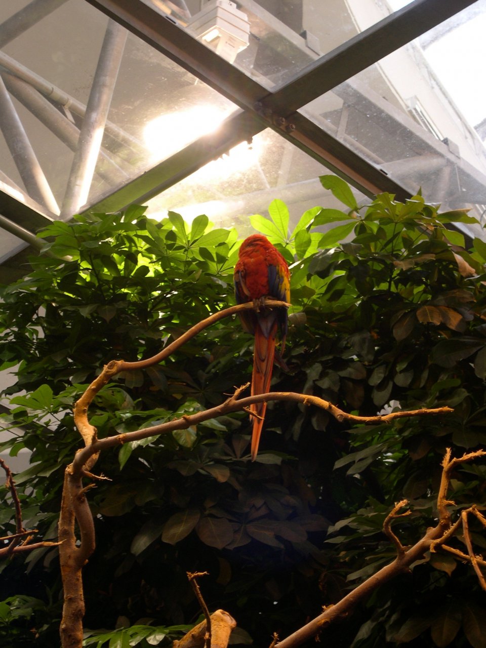 DSCN1157.JPG