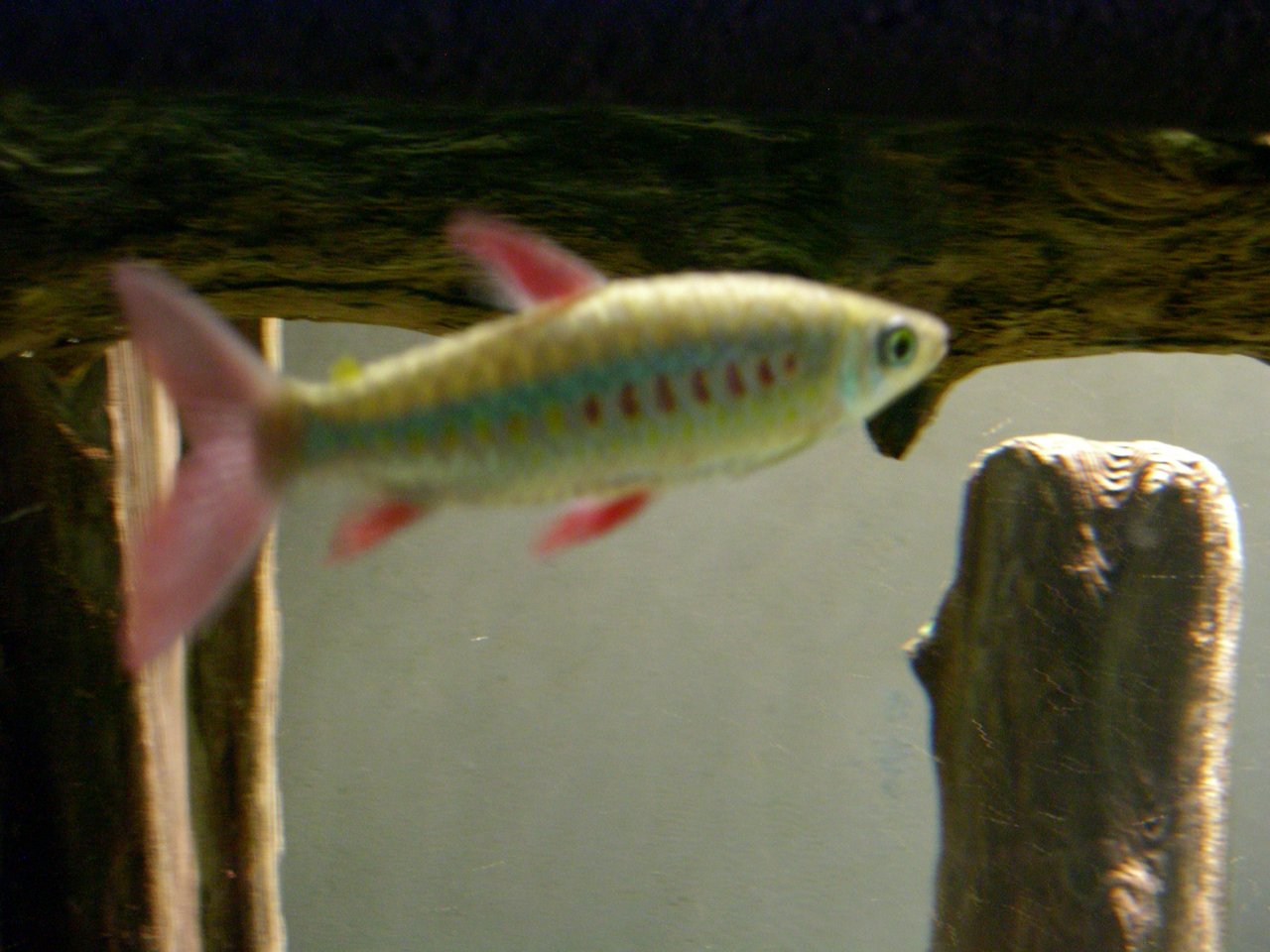 DSCN1169.JPG