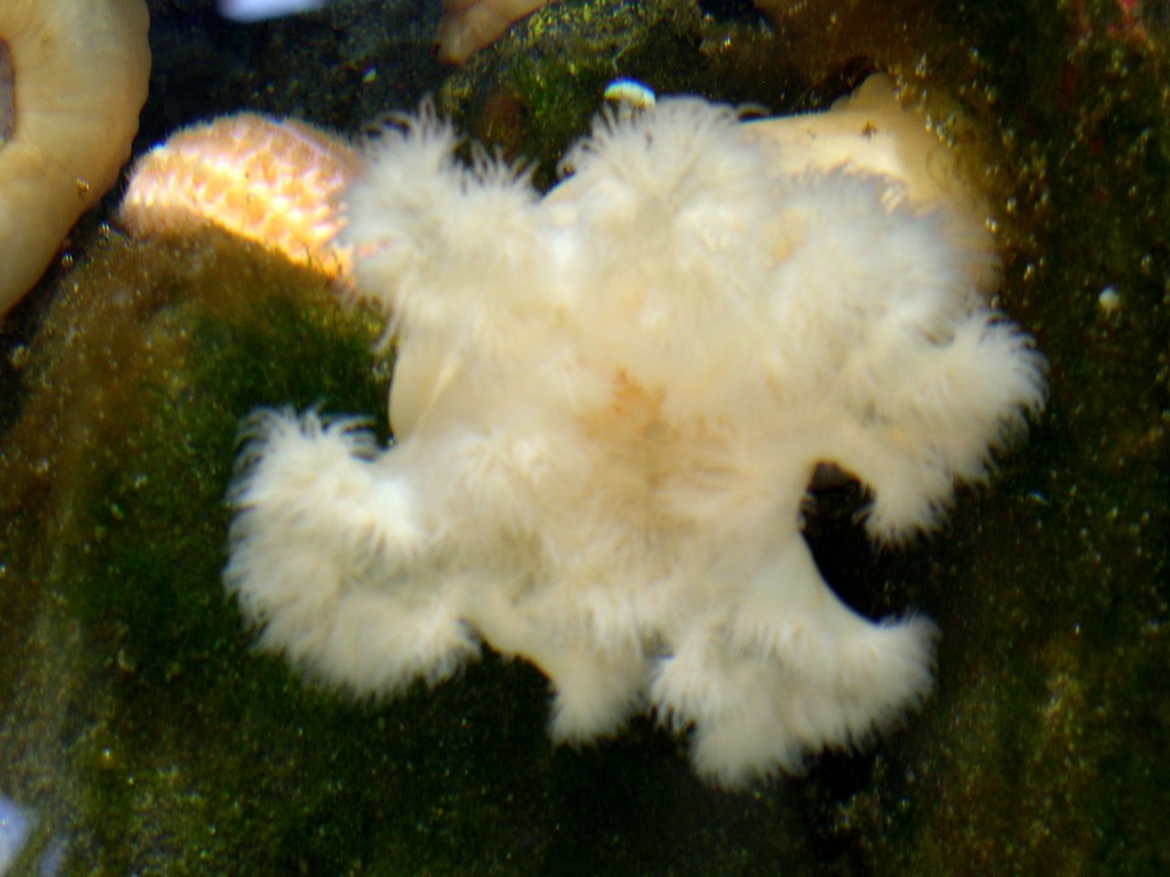 DSCN1202.JPG