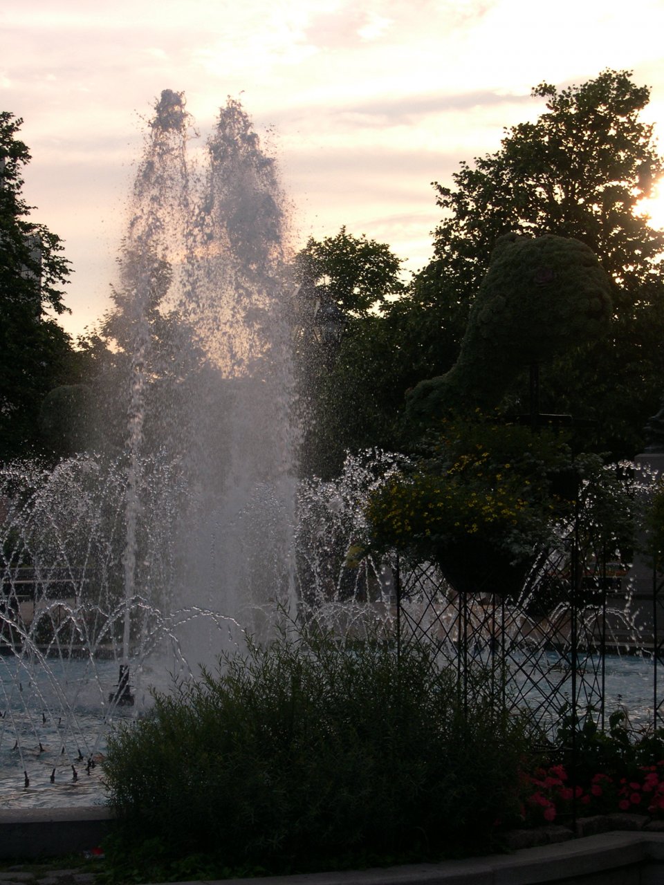 DSCN1344.JPG