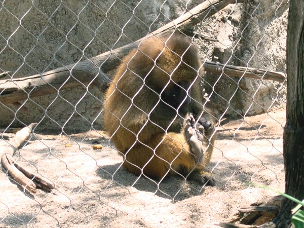 DSCN0600.JPG