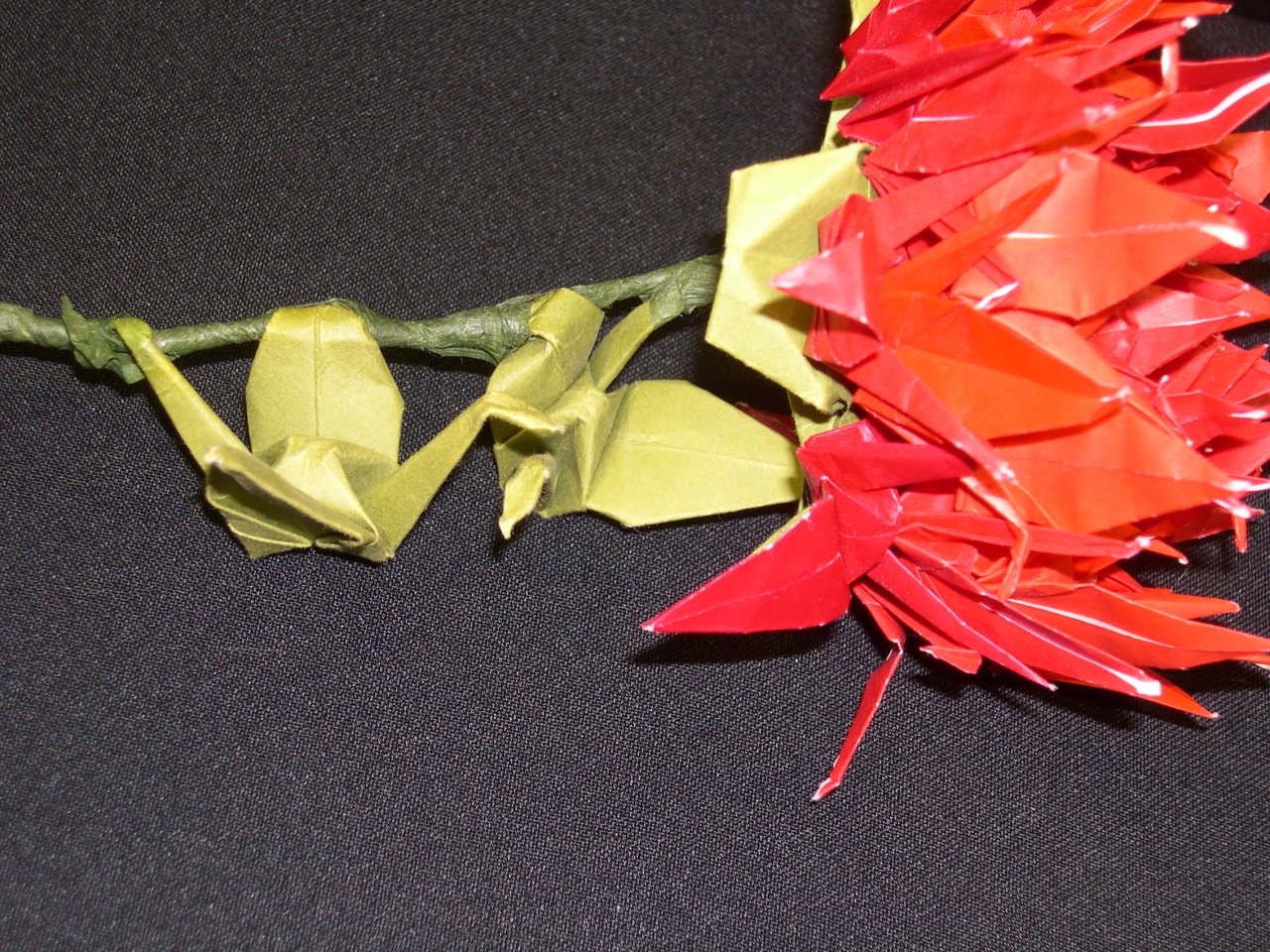crane rose (closeup)