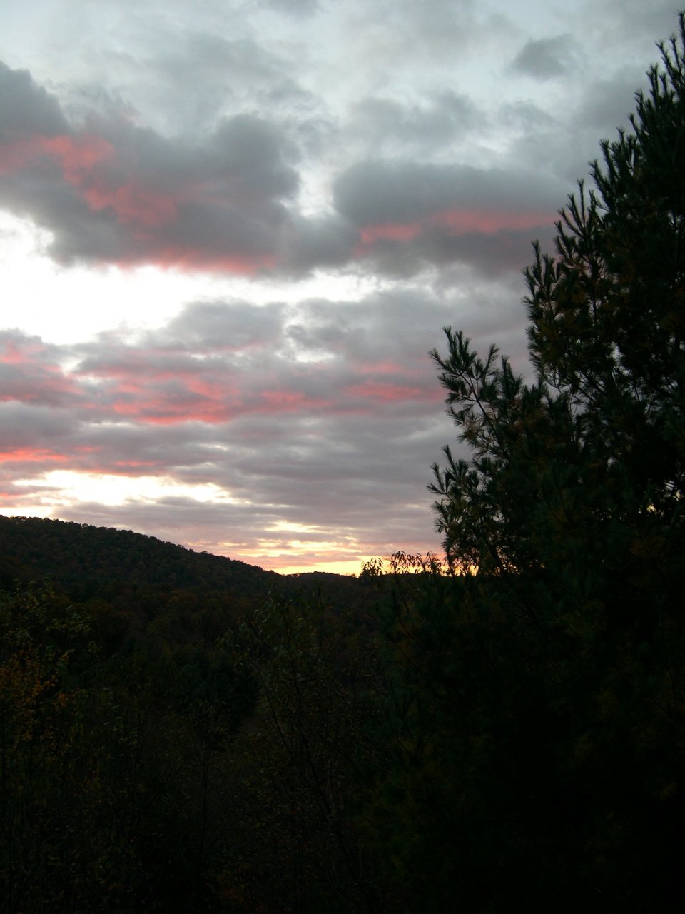 DSCN2882.JPG