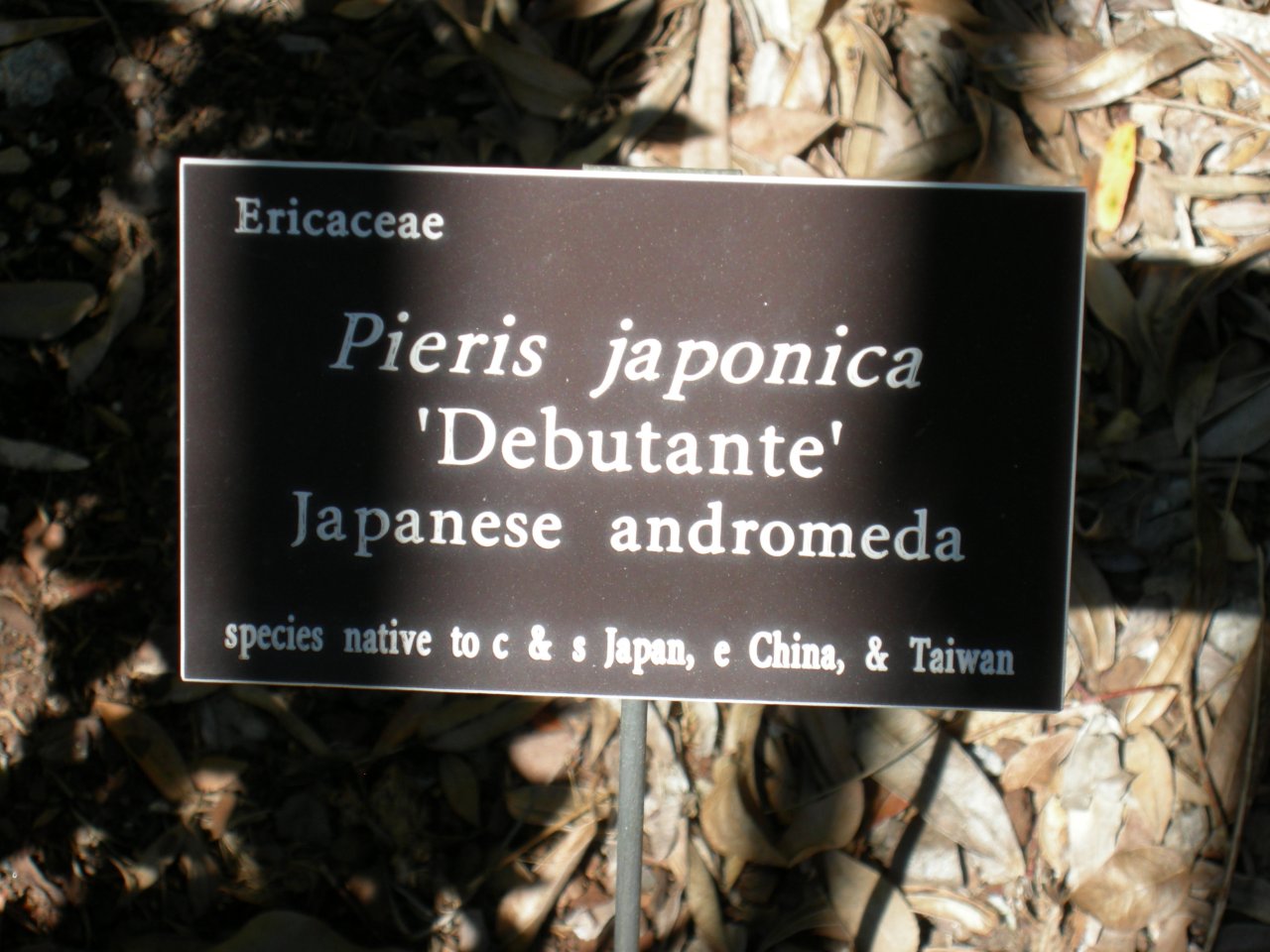DSCN0299