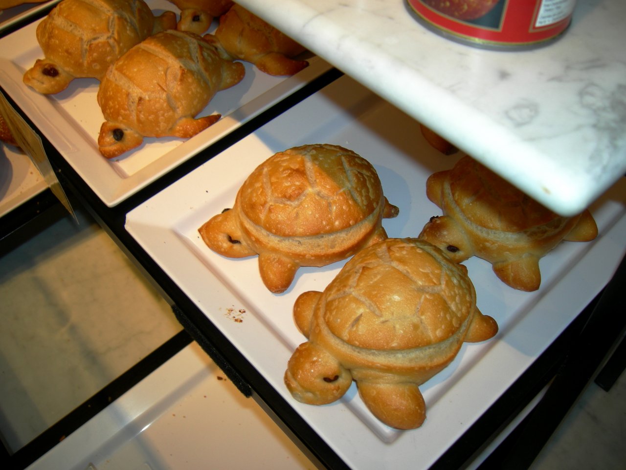Boudin: Cute Little Sourdough Turtles