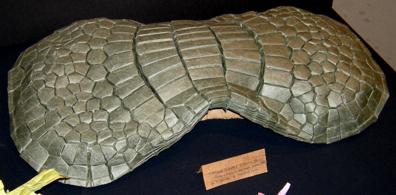 Henodus Chelyops