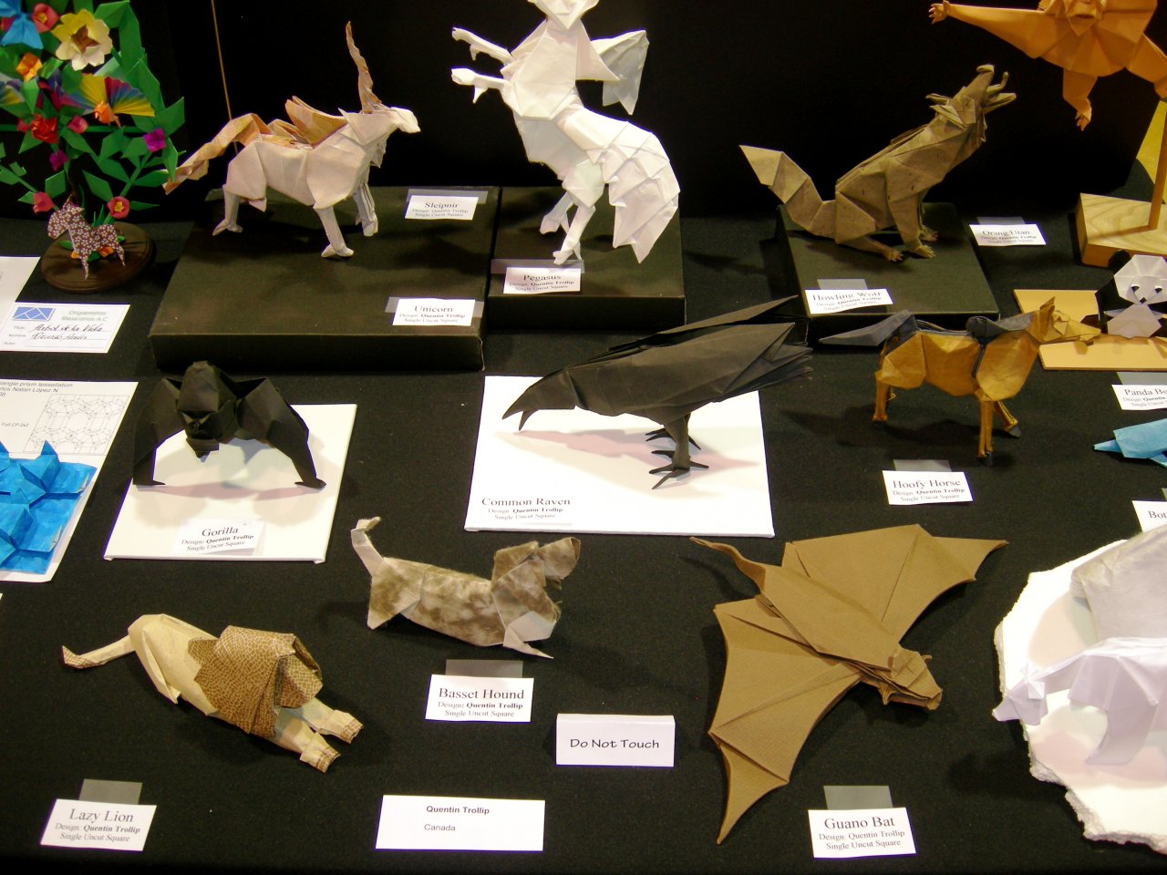 Various Animals by Quentin Trollip